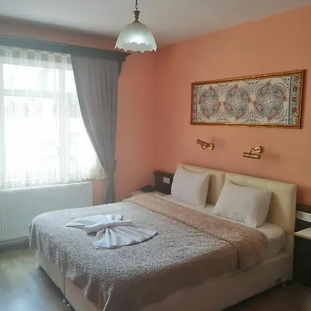 Ephesus Centrum Отель Сельчук