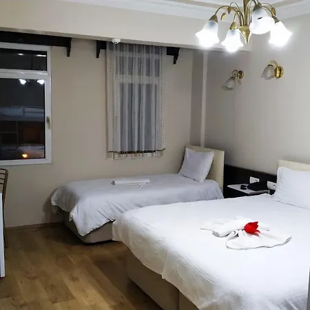 Отель Ephesus Centrum 3*