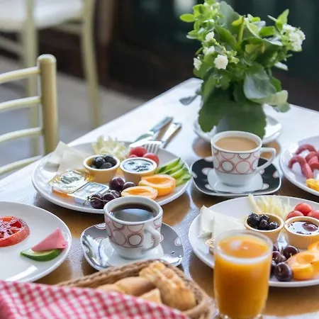 Ephesus Centrum Отель Сельчук