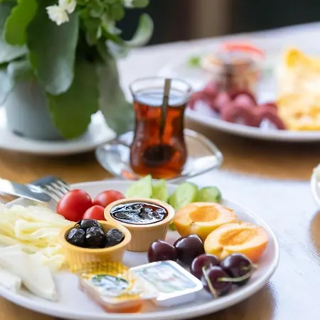 Отель Ephesus Centrum