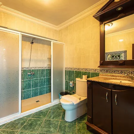 Ephesus Centrum 3* Сельчук