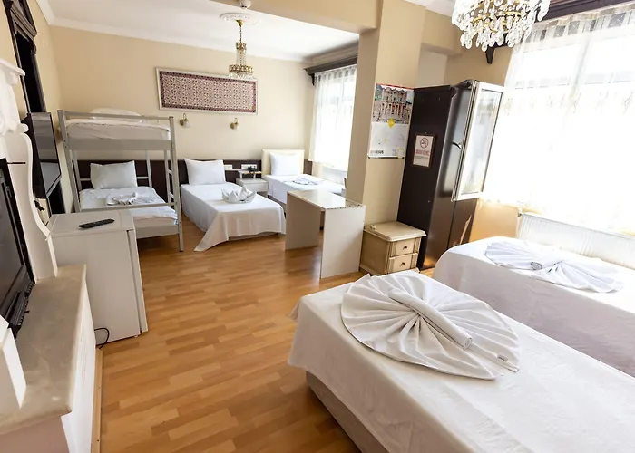 Ephesus Centrum מלון 3*