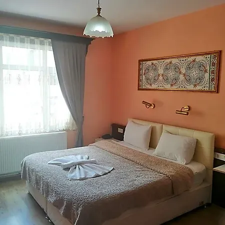 Ephesus Centrum 3* 塞尔丘克